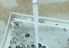  ã
