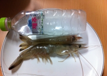 ̰  ڿꡦ